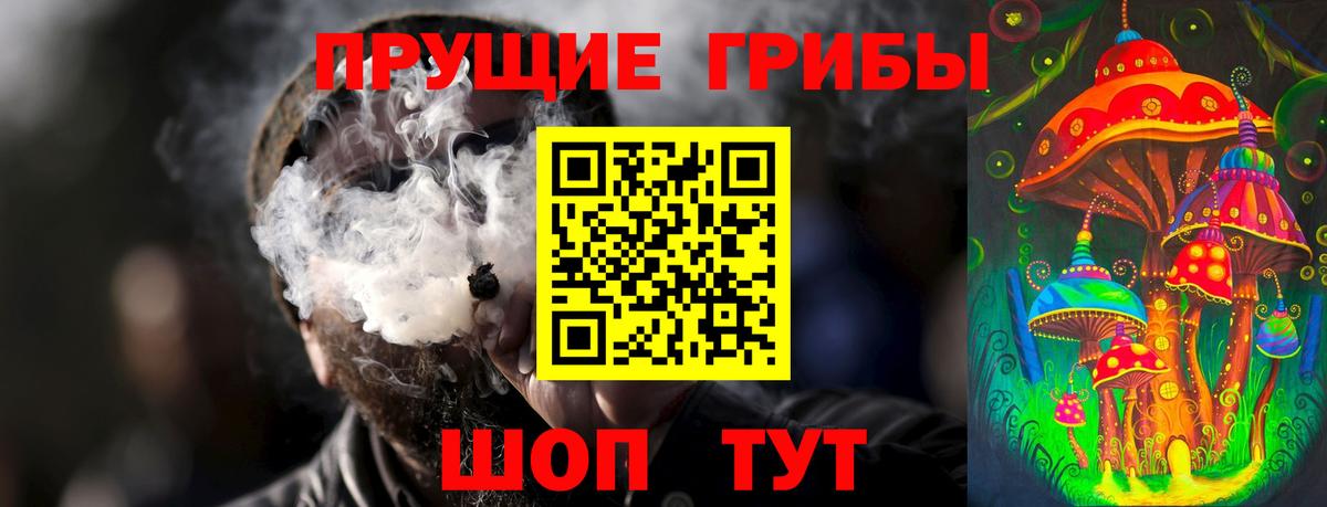 хочу наркоту  Псилоцибиновые грибы Psilocybe  Бор  Вход с VPN  Галлюциногенные грибы мицелий 